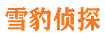 金川私家侦探